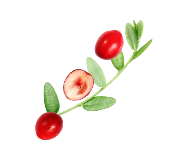 skin evolution Warming Body Scrub Spicy Berry - Slika 2