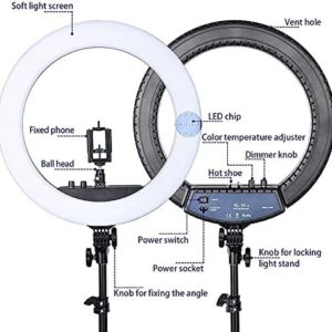 Ring Light