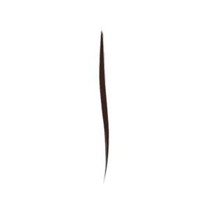 Fame Chaser Liquid Eyeliner