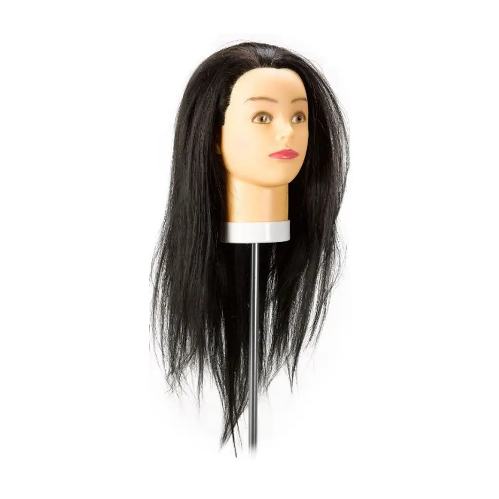 Mannequin Head