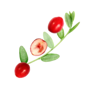 skin evolution Warming Body Scrub Spicy Berry